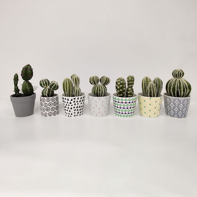 Artificial Flower Wholesale-Cactus 12