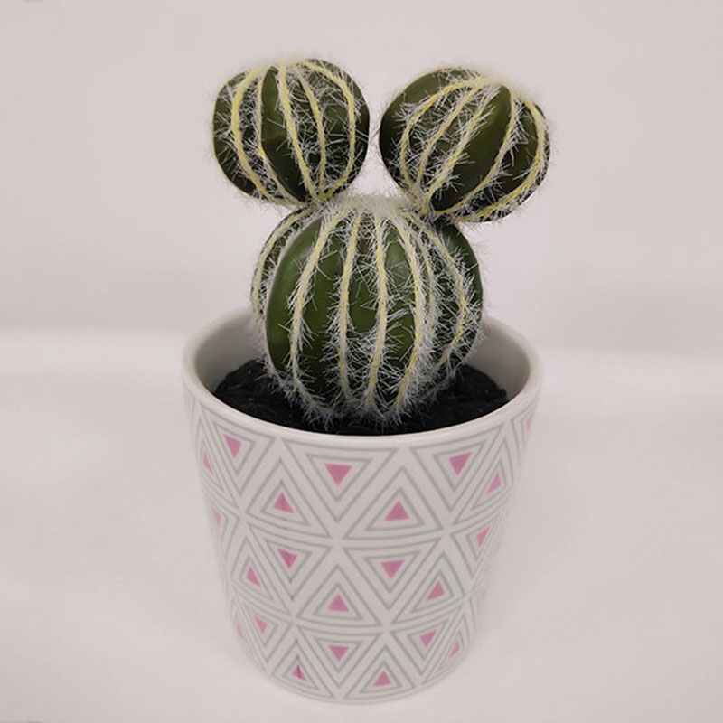 Cactus 09-simulation flower wholesale manufacturer