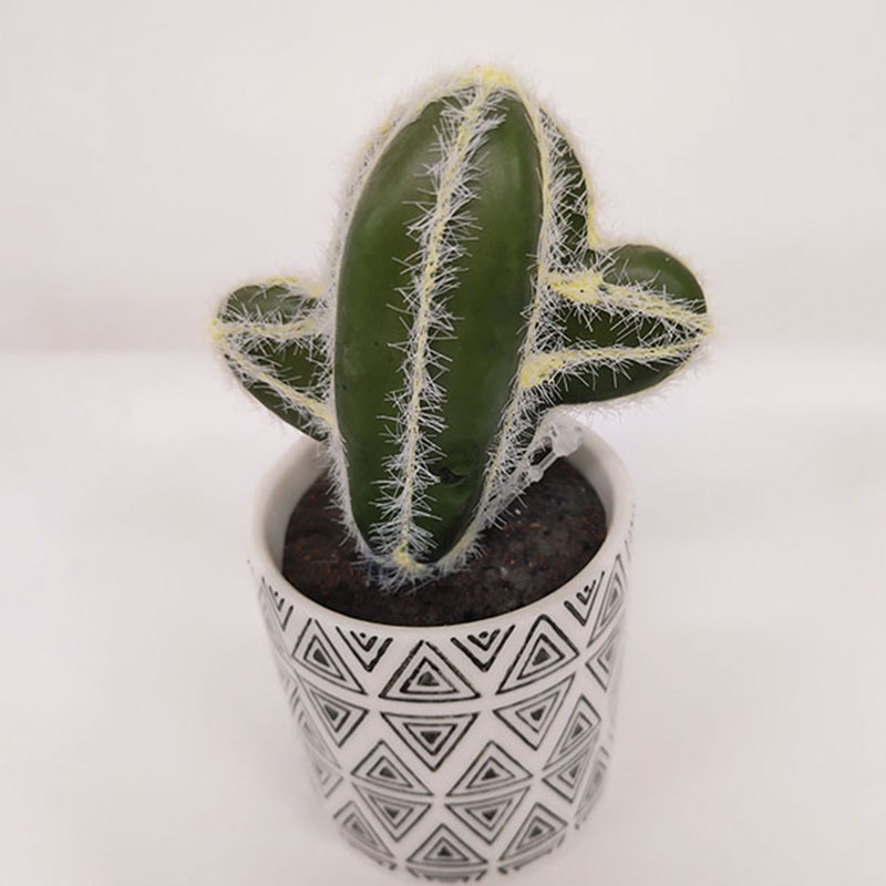 Cactus 10-simulation flower wholesale