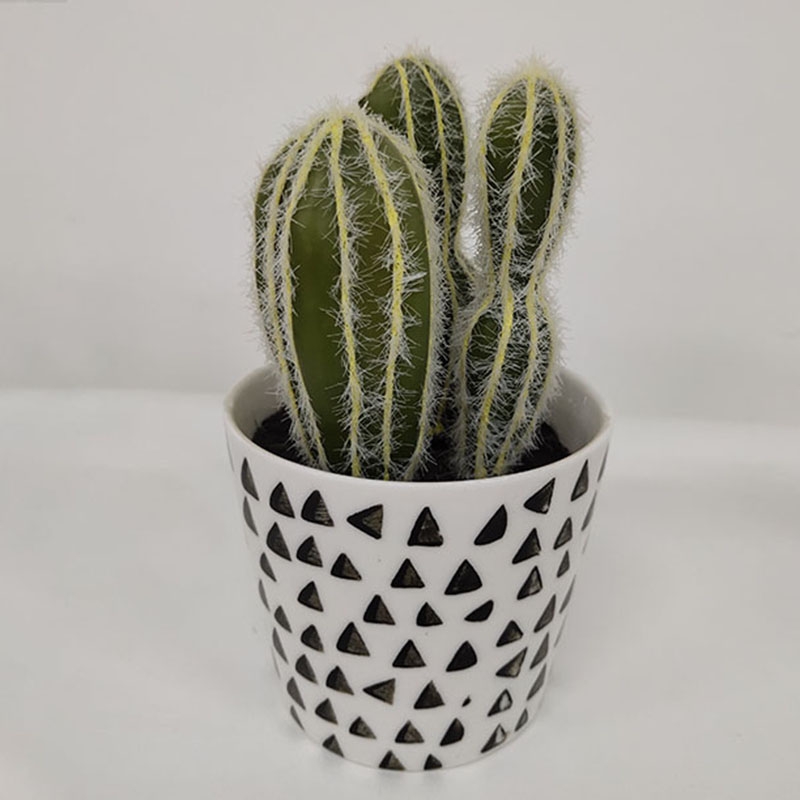 Cactus 11-artificial flower manufacturer