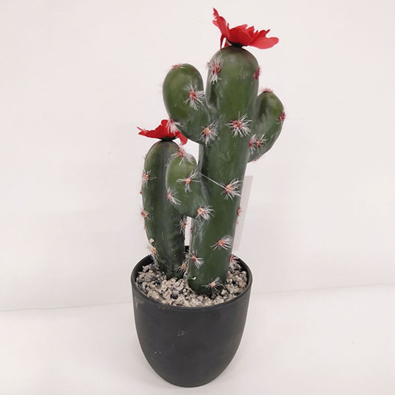 Cactus 04-Imitation Flower Wholesale