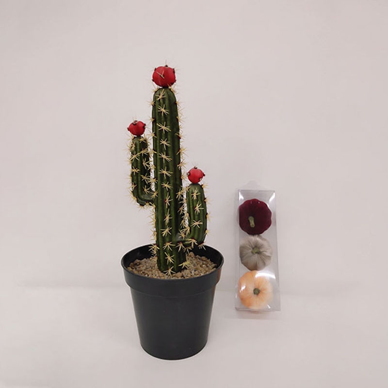 Cactus 03-artificial flower wholesale manufacturer