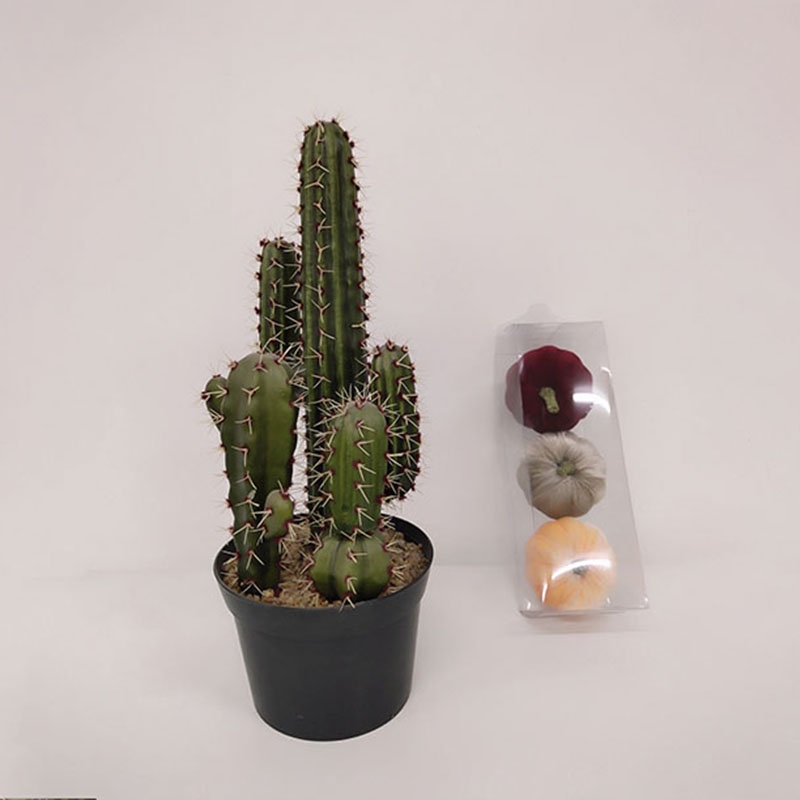 Cactus 02-simulation flower manufacturer