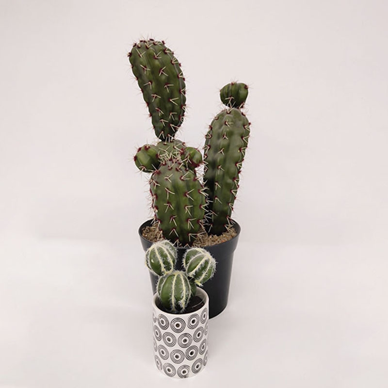 Cactus 01-simulation flower wholesale